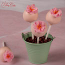cherry blossom cakepops