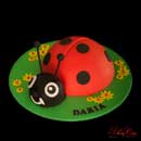 gâteau coccinelle