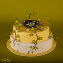 gâteau noces de diamant